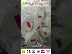 Explosionssichere, flammsichere, LED-lineare Leuchtstofflampe