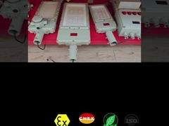 CRI Ra≥80 Explosionsgeschützter LED-Flutlichtstrahler 50-300 Watt für gefährliche Umgebungen