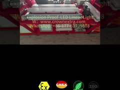 T8 Liner Korrosionsschutz Edelstahl GFK Explosionsgeschützte Leuchtstofflampe Einzelröhre