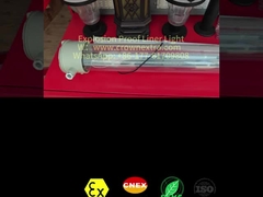 T8 Liner Korrosionsschutz Edelstahl GFK Explosionsgeschützte Leuchtstofflampe Einzelröhre