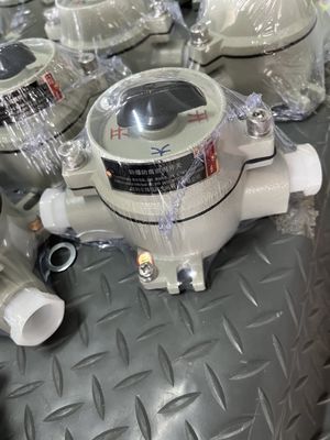 10 Ampere Explosionssicherheit Rotationstransfer-Selektor-Schalter