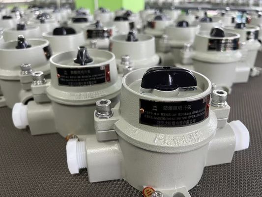 220V / 380V Explosionsgeschützter elektrischer Wahlschalter mit WF2 Grau Zone 22