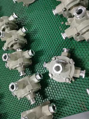 Fertigte Explosionssicherheit Verbindungskiste Aluminiumlegierung Gehäuse für eine optimale Leistung