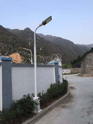 Tempered Glass Globe Explosion Proof LED Flood Light mit CE-Zertifizierung für Leistungen in der Zellstoff- und Papierindustrie