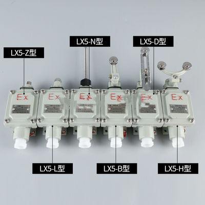 angepasste Dienstleistungen Explosionssicherheit, Atmosphäre, Schlauch, Kautschuk/Edelstahl für gefährliche Umgebungen