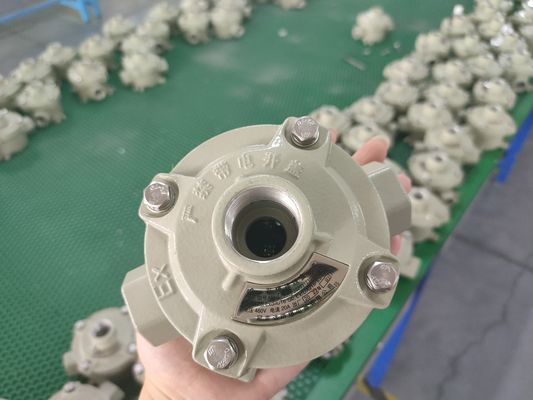 Kabel Spezifikation 9mm 13mm Explosionsgeschützter Schalter Marine Aluminium 10A Strom Industrieller Steuerschalter für Gefahrenbereiche