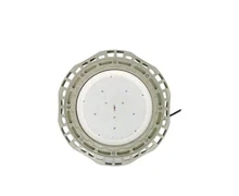 WF2 Explosionssichere LED-Lampen mit Aluminiumhalterung &gt; 80
