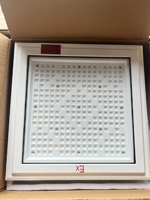 Wasserdicht Ip66 Gefährliche Lage LED Scheinwerfer Lange Lebensdauer 500000 Stunden