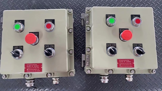 IP65 Edelstahl Wandmontierte elektrische Steuerplatten Gehäuse AC 220V/380V Ex Proof Control Panel