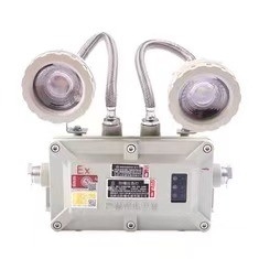 ATEX flammdichtes Notlicht mit LED für Innen- / Außenwandmontage
