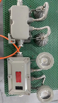 ATEX flammdichtes Notlicht mit LED für Innen- / Außenwandmontage