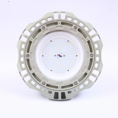 Zone 1 2 LED-Floodlicht mit Halterung mit 500 000 Stunden Lebensdauer