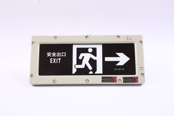 BYY-3w-IP65 Flammfeste Notlicht 120 Minuten LED 220VAC 24/36VDC 3000/4000/5000/5700K