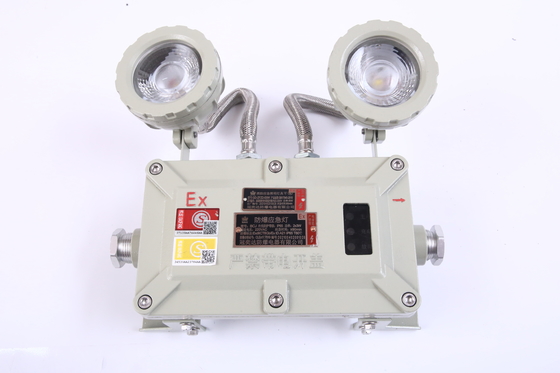 Ip66 Explosionssichere Led-Notlicht aus Legierung Cree