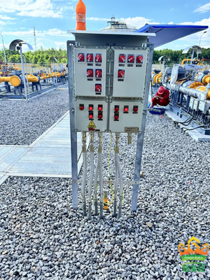 Wandmontierte 2 mm Explosionssichere, flammsichere Steuerungen mit einem Schutzniveau von IP66 WF2 mit ATEX-Zertifizierung