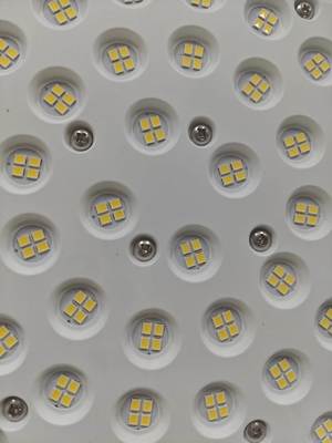 WF2 50000hrs Explosionssicherheit LED-Lichtschicht Ölgasschutz IP66