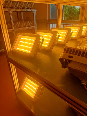 50W 100W 200W 250W Explosionssichere LED-Floodlampe Zertifiziert durch ATEX IECEx RoHS CNEX ISO9001