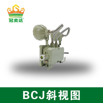 Wand-/Decken-Flammbeständige Notleuchte mit Aluminium der Marinequalität und 2*3 Watt