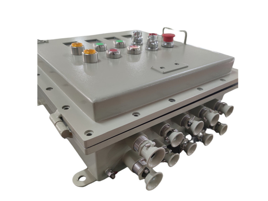 Kundenspezifische Explosionssichere Kontrollplatten Verteilerbox mit IP66 Schutz und Marine-Grade Aluminium Gehäuse 225A