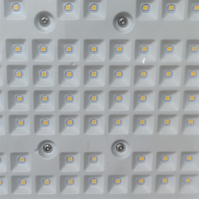 50-300 Watt Explosionssichere LED-Leuchten für extreme Bedingungen mit MEANWELL-Antrieb und 3000/4000/5000/5700K CCT