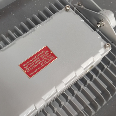 Explosionsfeste Leuchte Korrosionsfeste CREE LED-Floodlight mit MEANWELL-Treiber 145Watt 160lm/w