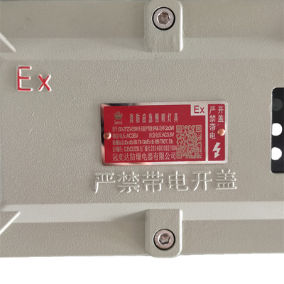Gefährliche Zone 1 Explosionssichere Leuchten für Industrieanlagen IP66 WF2 5 Watt 90-180 min