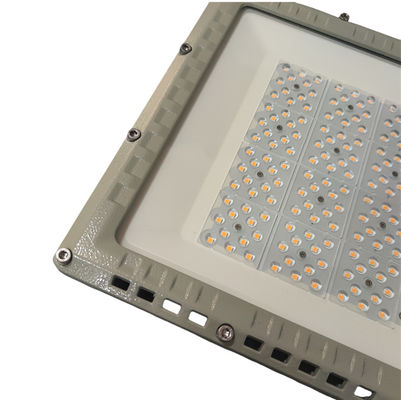 IP66 WF2  LED Explosion Proof Street Light 100w 120w 150w ATEX AC100-277V Led Explosion Proof Flood Light for Zone1 and Zone2
