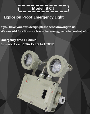 BCJ Explosionssichere Notfalllampen mit 50000h Lebensdauer und OEM-Service