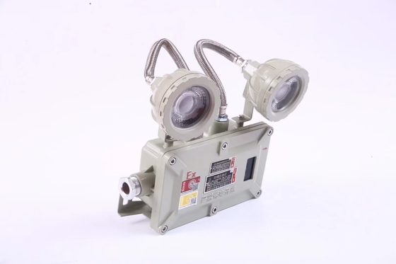Industrie 2*3Watt 220VAC 24/36VDC flammsichere Notbeleuchtung