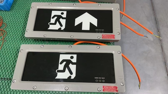 Zone 1 Aluminium-Notlicht mit CRI Ra≥70 und verlängerte Notzeit von 90 Minuten