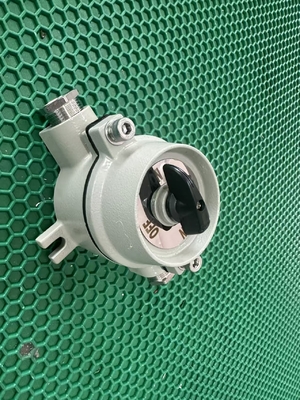 2 Pole Explosionssichere Schaltkabel Eingang G3/4'' für chemische Lagerstätten