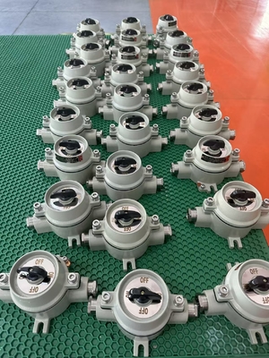 Explosionssicherer Schalter mit Marine Aluminium 10A Strom