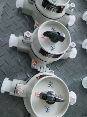 220V / 380V Explosionsgeschützter elektrischer Wahlschalter mit WF2 Grau Zone 22