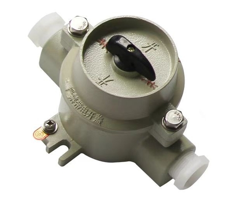2 Pole Explosion Proof Schalter 10A mit IP65 Schutz für gefährliche Bereiche