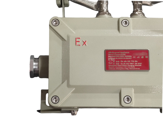 Explosionssichere Notlicht ️ Wand und Decken montiert ∙ ATEX/IECEx zertifiziert für Öl & Gas, Chemie & Bergbau