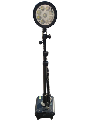 90-295Vac Explosionssichere LED-Portable Light Wiederaufladbarer ATEX-Qualifizierter WF2-Anpassbarer Server für Seeschifffahrtsunternehmen ZONE 1 ZONE 2