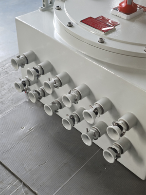 Energie- ATEX Explosionssichere Steuerungsanlage Flammfeste elektrische Steuerungskisten 220/380Vac G1/2" G3/4" G1 G1.1/4" G1.1/2" G2