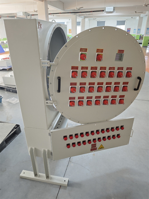 Energie- ATEX Explosionssichere Steuerungsanlage Flammfeste elektrische Steuerungskisten 220/380Vac G1/2" G3/4" G1 G1.1/4" G1.1/2" G2