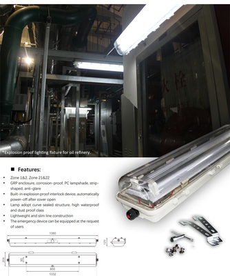ATEX- und IECEx-zertifizierte explosionsgeschützte Leuchtstofflampe | IP66-flammenfeste lineare Beleuchtung für gefährliche Bereiche