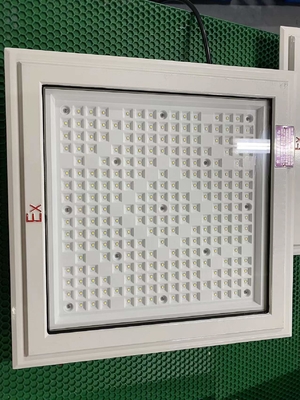 Explosionssichere LED-Floodleuchten mit Lampenperlen CREE und 50-240 Watt Kategorie