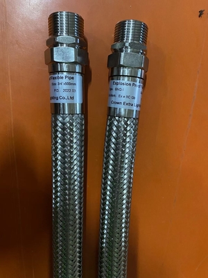 IP66 WF2 zertifizierte Explosionssicherheit. IP66 WF2 Schutz.