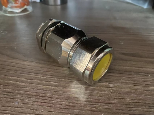 IP68-Qualifiziert Ex-Proof Single Wire Armor Cable Gland CE ISO ROHS für flammsichere Anlagen zugelassen
