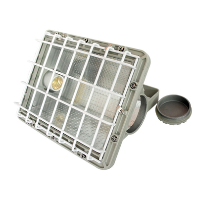IP66 WF2-Schutz in intrinsisch sicheren LED-Scheinwerfern mit CREE-Lampen