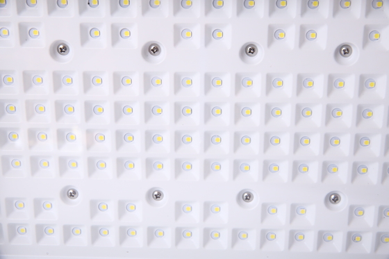 50240W anpassbare Explosionssichere LED-Leuchten CREE-Chips ATEX-zertifiziert für gefährliche Bereiche