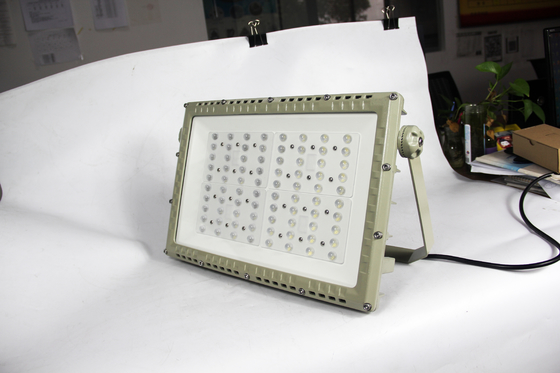 250W ATEX Flammfeste LED Straßenleuchte.