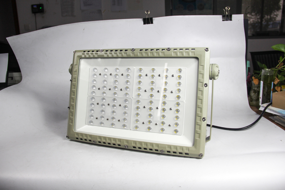 250W ATEX Flammfeste LED Straßenleuchte.