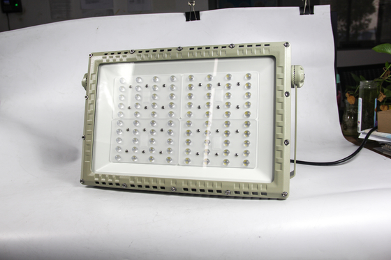 250W ATEX Flammfeste LED Straßenleuchte.