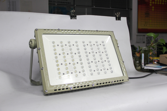 250W ATEX Flammfeste LED Straßenleuchte.