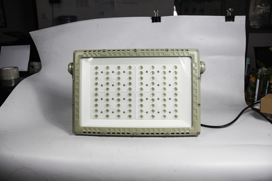 250W ATEX Flammfeste LED Straßenleuchte.