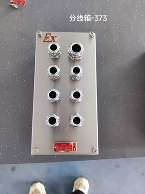 Anpassbare explosionsgeschützte Edelstahl 304 Kabelanschlussdose, FLP-Anschlusskasten, korrosionsbeständiges Gehäuse